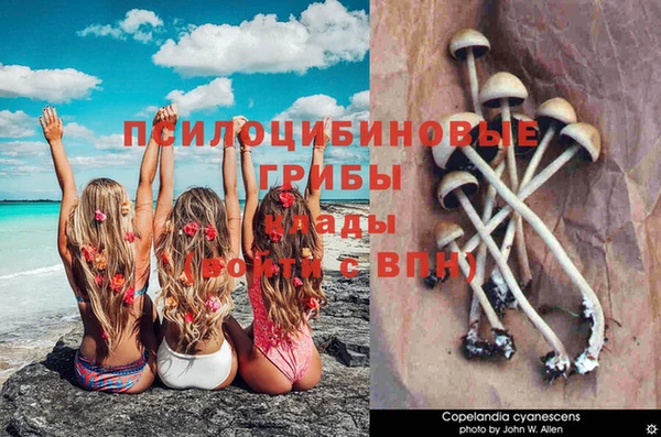 прущая мука Михайловск