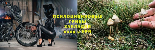 тгк Михайловка