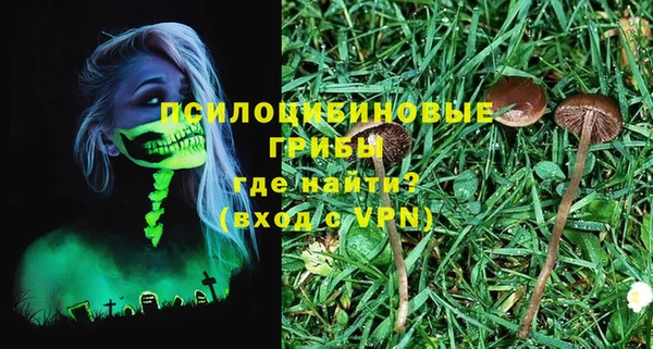 мескалин Михайлов