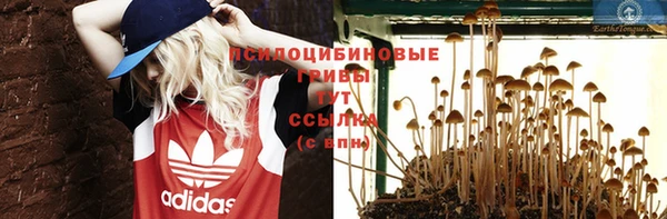 прущая мука Михайловск